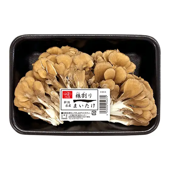 ������܂�����