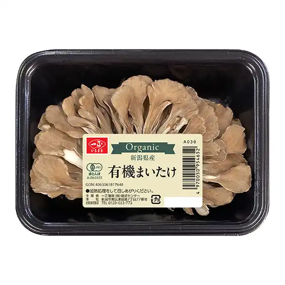 �L�@�܂�����